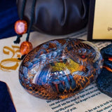 【Last Day 48% OFF】🐉 Lava Dragon Egg 🐉 - TumTum